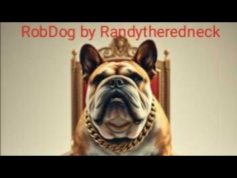 RobDog -Official audio 