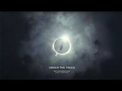 Under The Trees | Metamorphosis | Adrián Berenguer