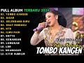 DANGDUT KOPLO TERBARU 2024 TOMBO KANGEN NIKEN SALINDRY FULL ALBUM
