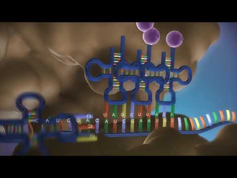 Proteinbiosynthese 3D in 3 Minuten - made EASY