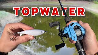 Topwater Fishing A HIDDEN Pond! (Nonstop Action)