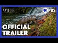 Season 42 Coming Soon To NATURE