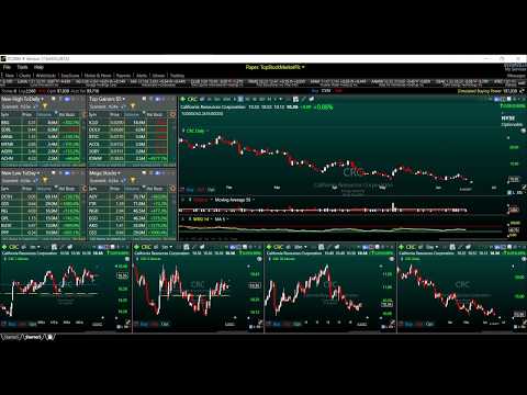 TC2000 Version 17 Worden How To Setup Easy Scans