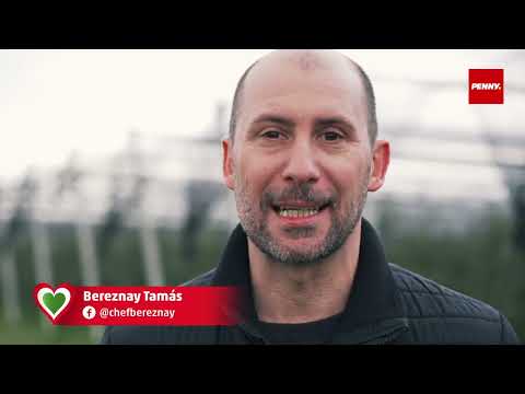 Hazai Ízek Nyomában 1. – Almarégió Kft., Csenger