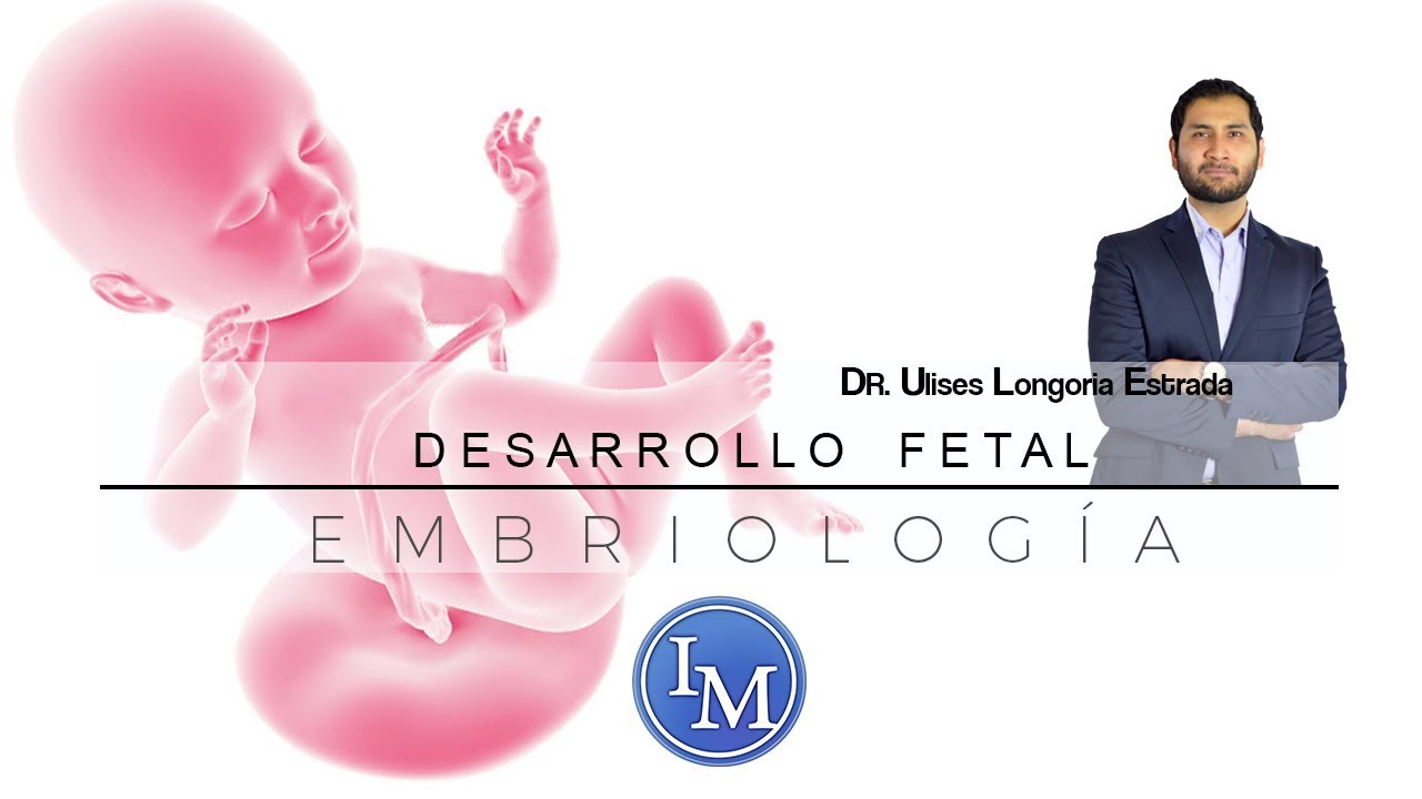 Embriología | Desarrollo Fetal | Resumen