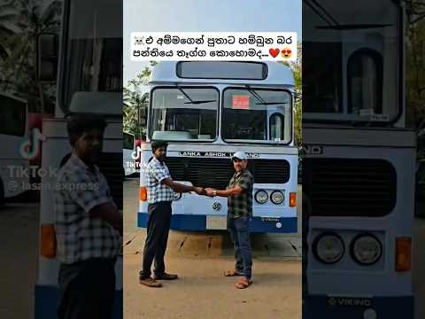 මෙන්න gift ..😍❤️#bussid #newbusvideo #automobile #1milion #fyp #trending