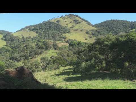 Sons vida no campo | Minas Gerais | Interior de Minas