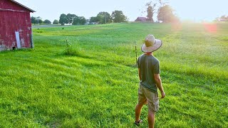 My Dream Finally Came True | Welcome to the Homestead