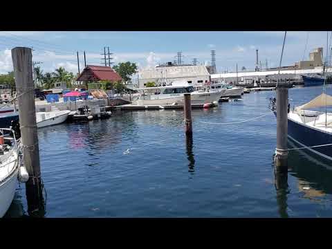 Passeio pela Marina Porto Seguro