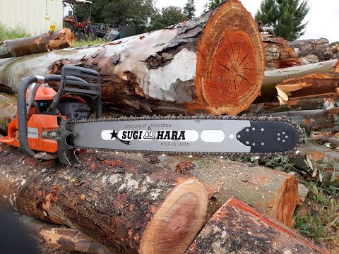 Sugihara Lightweight Chainsaw Bar VS Oregon Power cut bar