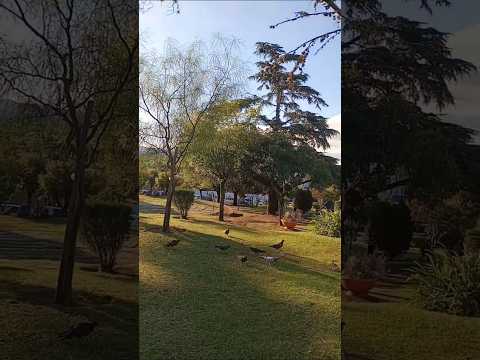 Plaza de la Ciudad de La Falda, Punilla, Córdoba, Argentina.#lafalda