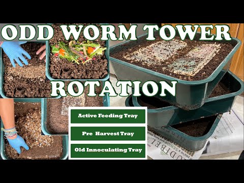 Strange But Effective Way to Rotate & Harvest Your Worm Tower | Vermicompost Worm Farm