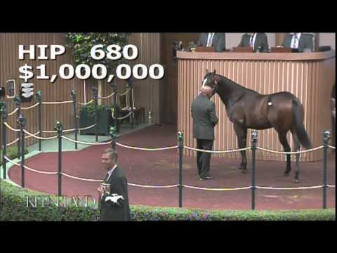 2014 September Yearling Sale - Hip 680 (War Front - Gold Vault)