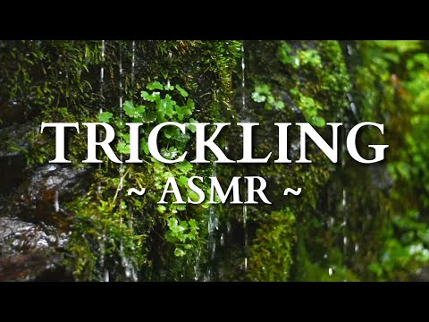 10 HOURS of Gentle Trickling Water - ASMR Paradise