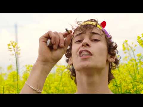 ALLEGR'ANDANTE - pvas - Prod. blu