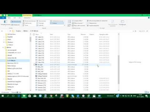Billeder   sorter i Stifinder