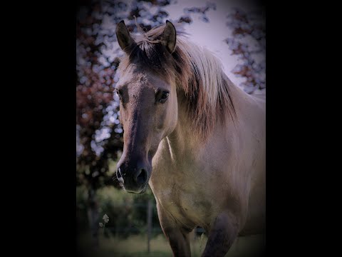 Transformer l'envie de fuir