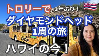 【ハワイのトロリー】ワイキキからダイヤモンドヘッドを1周する旅！ハワイの今をお見せします！