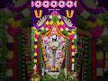 Sri Balaji Status Video Purattasi Saturday Worship Perumal Balajistatus Govinda Narayana