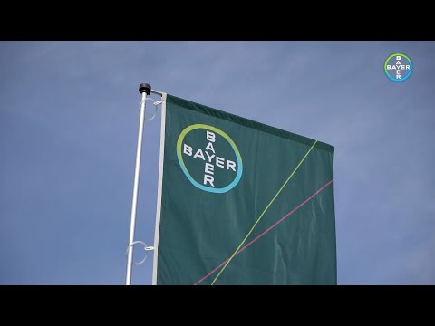 Bayer Agro Arena 2023 - Comloșu Mic