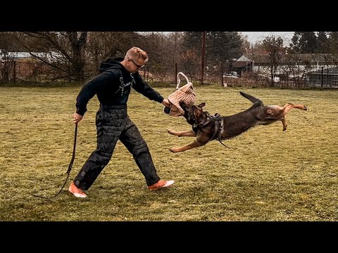 Charlie von der Teufelskehle - 4/2023