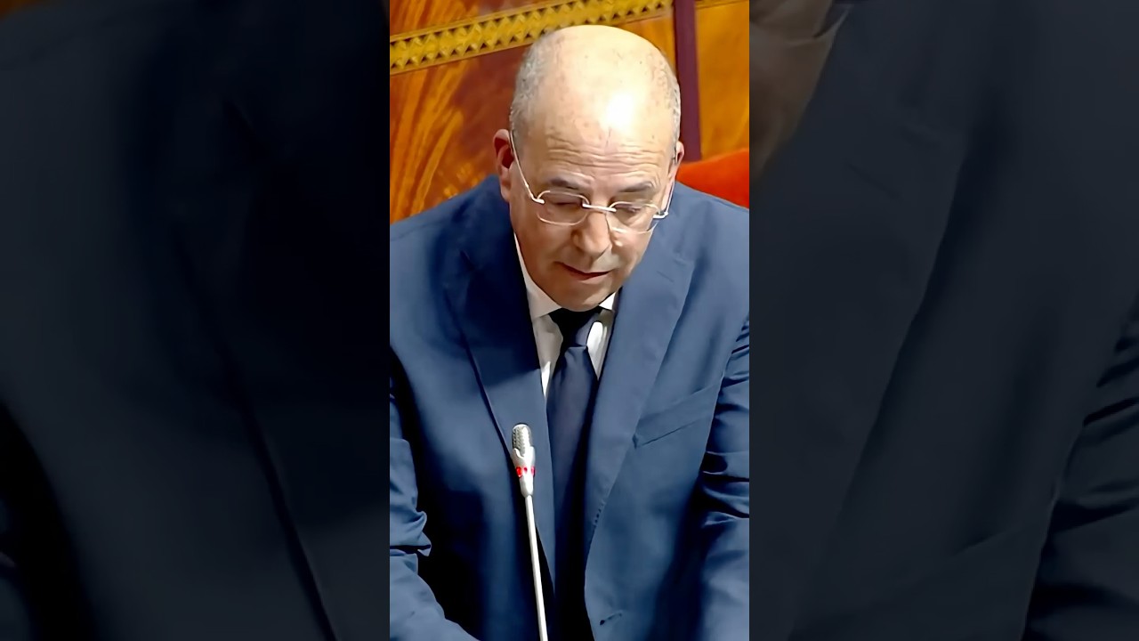 وزير الفلاحة: عودة ذبح إناث القطيع الحيواني بعد تحقيق الاكتفاء وتوفير 32 مليون رأس thumbnail