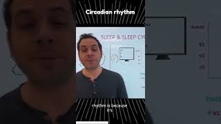 Circadian Rhythm