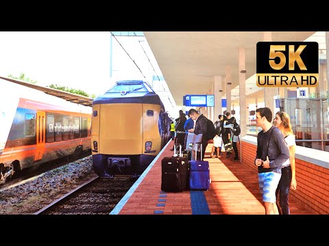 Dense fog Cab View & suddenly sun, amazing! Groningen - Zwolle CABVIEW HOLLAND ICM 28feb 2021