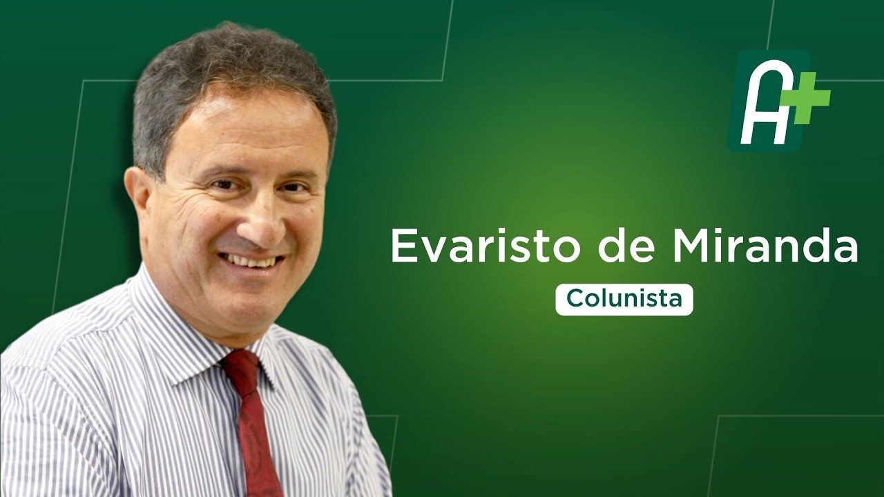 Colheita da milho expande festejos juninos