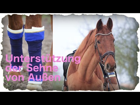 This is how we support tendon damage from the outside...