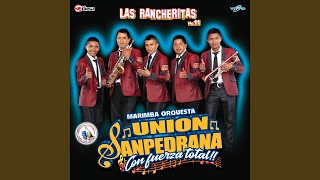 Fuerza Total de Cumbias # 2: La Chica de Humo / Volvi a Nacer