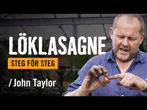 Sätta blomsterlök i kruka /John Taylor | Tips & råd | Vi visar hur du gör [HORNBACH]