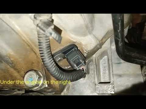 Crankshaft sensor location (Nissan petrol)
