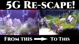 I STOLE This Aquascape Design! | 5 Gallon OEBT Shrimp Aquarium.