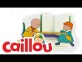 Caillou New Kids On The Block S02E06 Videos For Kids