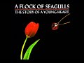 A Flock Of Seagulls - Heart of steel