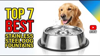 Top 7 Best Dog Water Fountain Stainless Steel Review (Exclus