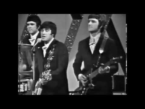 NINETEEN DAYS (LIVE) DAVE CLARK FIVE DES
