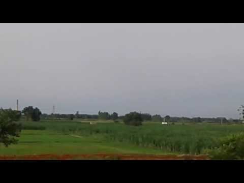 Beautiful green nature