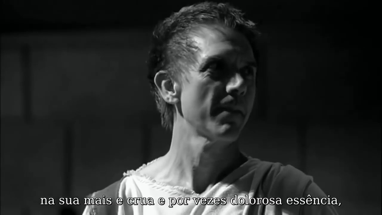 Instituto Hugo de São Vítor