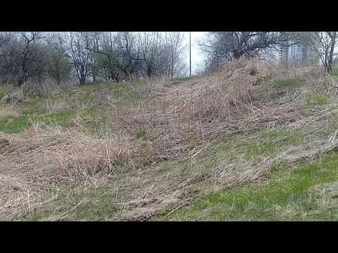 Pickering, Ontario, Canada - TEPEE DRIVE-IN MOVIE THEATRE - Rubber Gloves & Garbage? - HWY 401