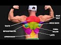 HOME BACK WORKOUT! (GROWTH TIPS!)