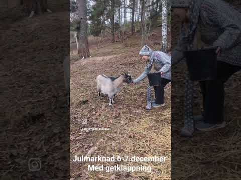 Lucka 5, julkalender 2025 Åkerby gård, Sorunda. Cafe & gårdsbutik. Öppettider, se hemsida eller fb.