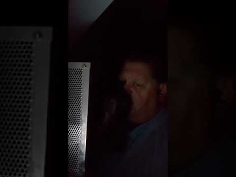 precieus lord Elvis Presley covered by Mark Elbers