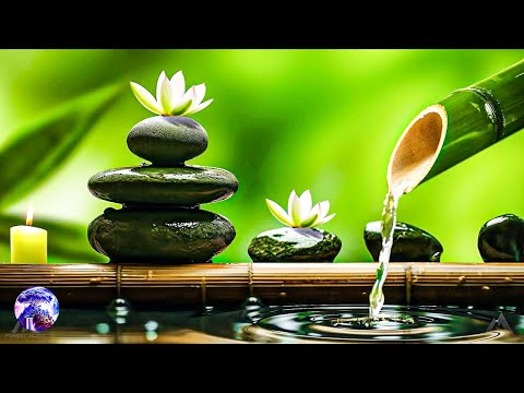 Relaksacyjna Muzyka Zen - Bambus, Muzyka Relaksacyjna, Muzyka Medytacyjna, Muzyka Spokojna, Dźwięki