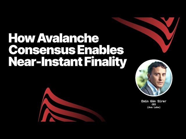 Ava Labs product / service