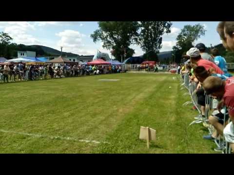 Zbora - Dohňany 2017