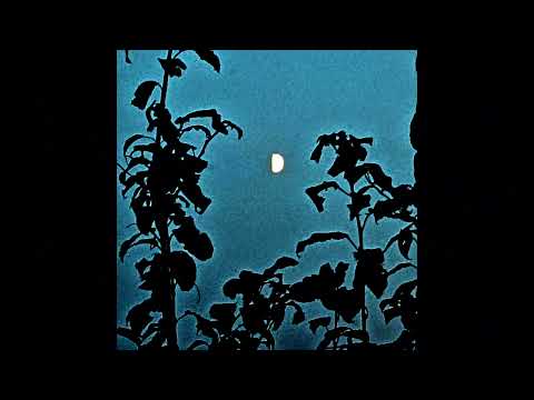 insensible & énouement - vertigo [hxfreght remix]