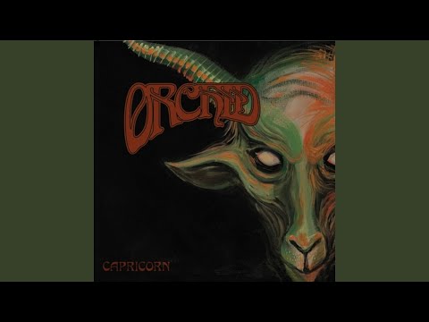 Eyes Behind the Wall - Orchid