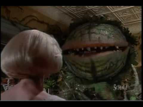 LIttle Shop of Horrors - Suppertime